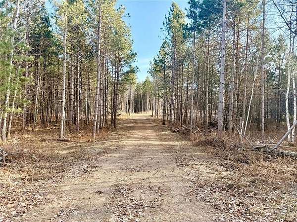 17.6 Acres of Recreational Land for Sale in Loon Lake Township, Minnesota