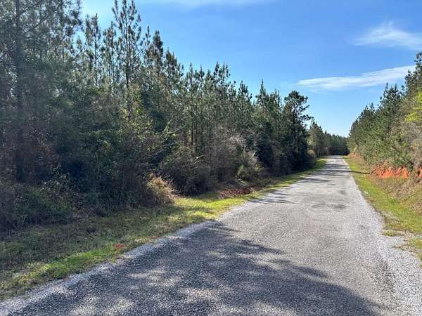 33.1 Acres of Recreational Land for Sale in Quitman, Mississippi