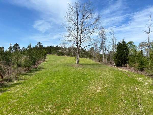 79 Acres of Recreational Land for Sale in Quitman, Mississippi