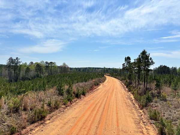 161 Acres of Recreational Land for Sale in Quitman, Mississippi
