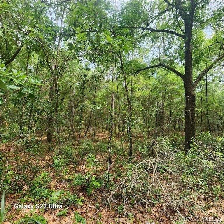 0.22 Acres of Residential Land for Sale in Inverness, Florida