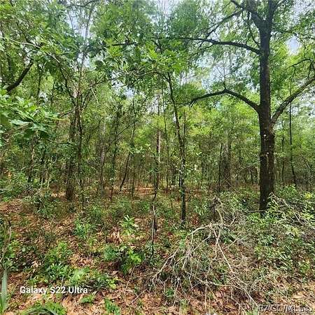 0.22 Acres of Residential Land for Sale in Inverness, Florida