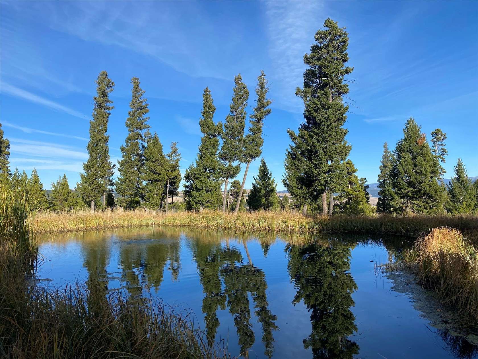 20 Acres of Recreational & Residential Land for Sale in Philipsburg, Montana