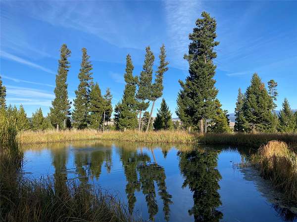 20 Acres of Recreational & Residential Land for Sale in Philipsburg, Montana