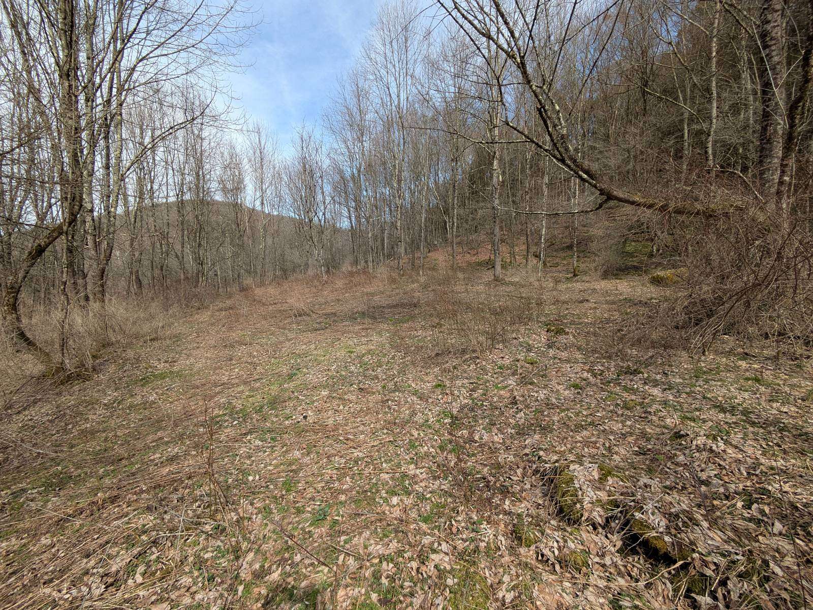 18 Acres of Recreational Land for Sale in Downsville, New York