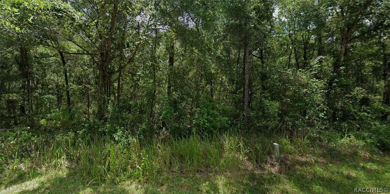 0.22 Acres of Residential Land for Sale in Inverness, Florida