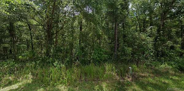 0.22 Acres of Residential Land for Sale in Inverness, Florida
