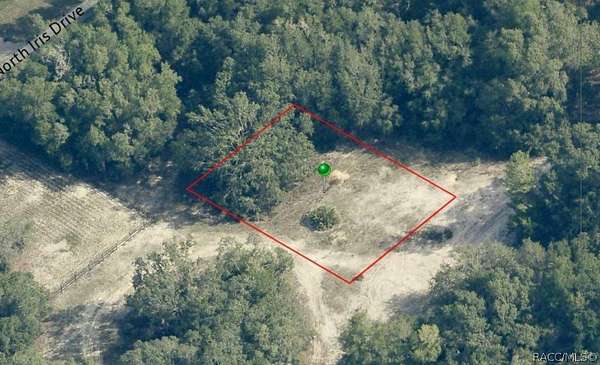 0.22 Acres of Land for Sale in Hernando, Florida