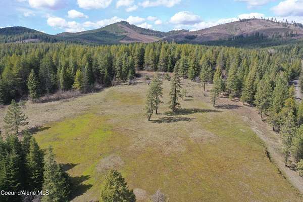 8.18 Acres of Residential Land for Sale in St. Maries, Idaho
