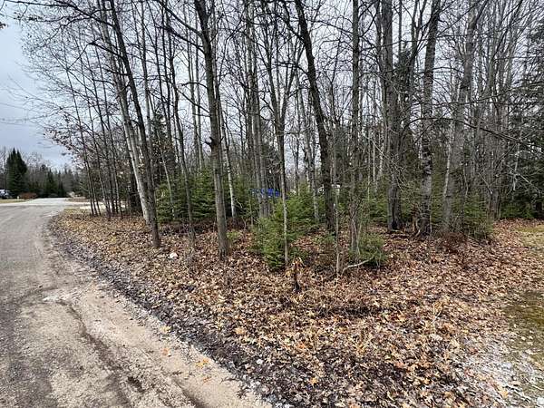 0.27 Acres of Land for Sale in Lake, Michigan