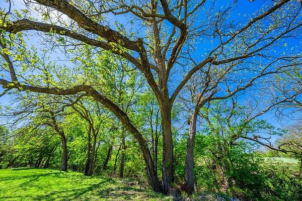 3 Acres of Improved Mixed-Use Land for Sale in Comfort, Texas