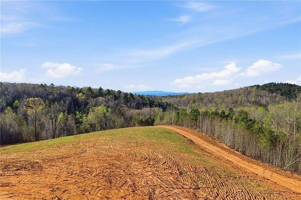 59.4 Acres of Agricultural Land for Sale in Ellijay, Georgia