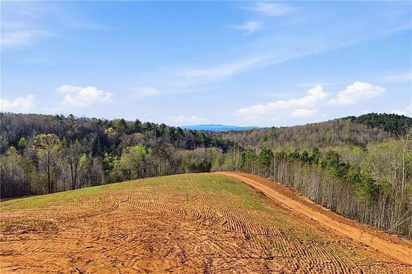 59.4 Acres of Agricultural Land for Sale in Ellijay, Georgia