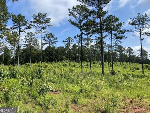10.1 Acres of Land for Sale in Forsyth, Georgia