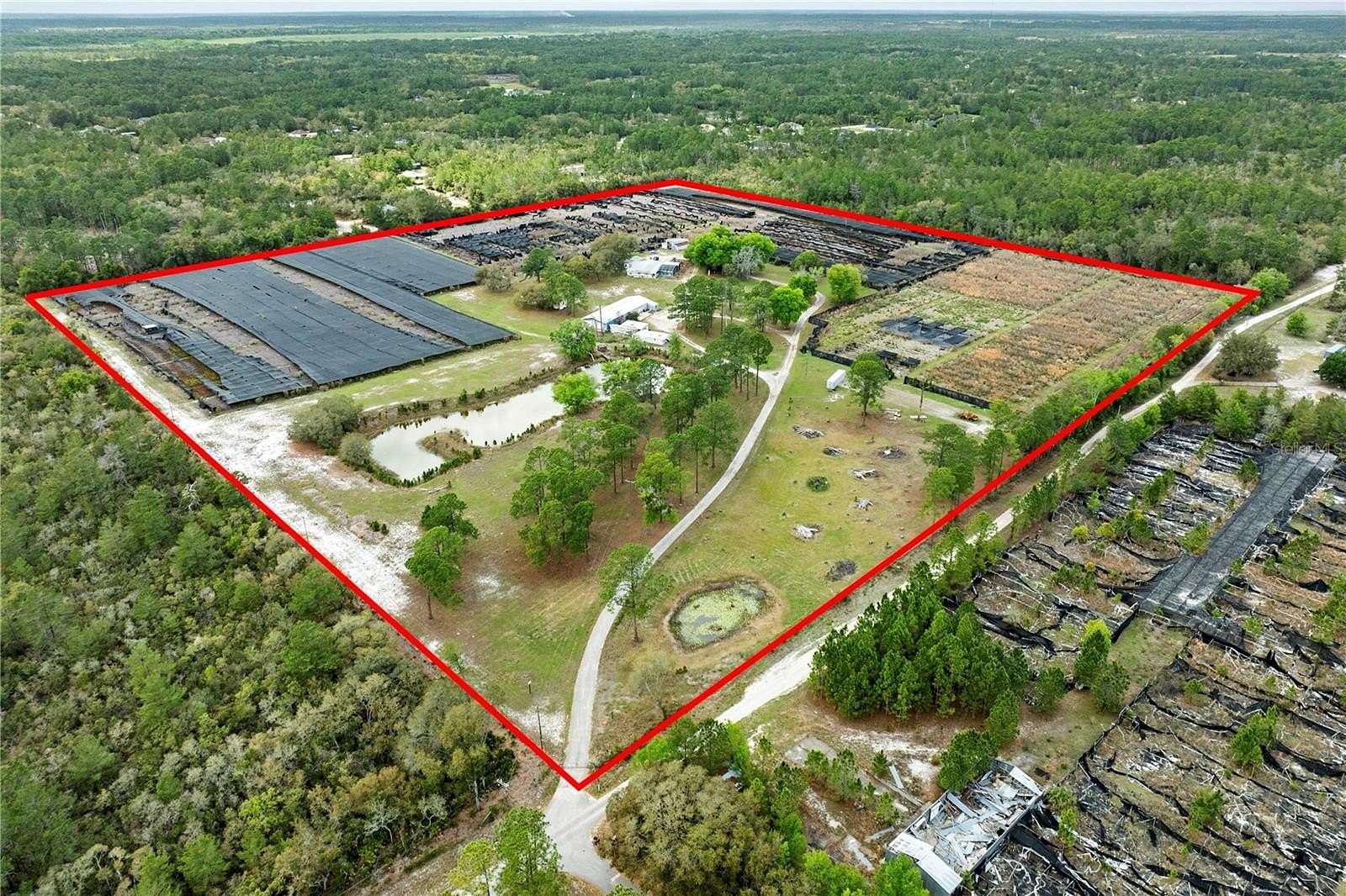 40.7 Acres of Land for Sale in Eustis, Florida