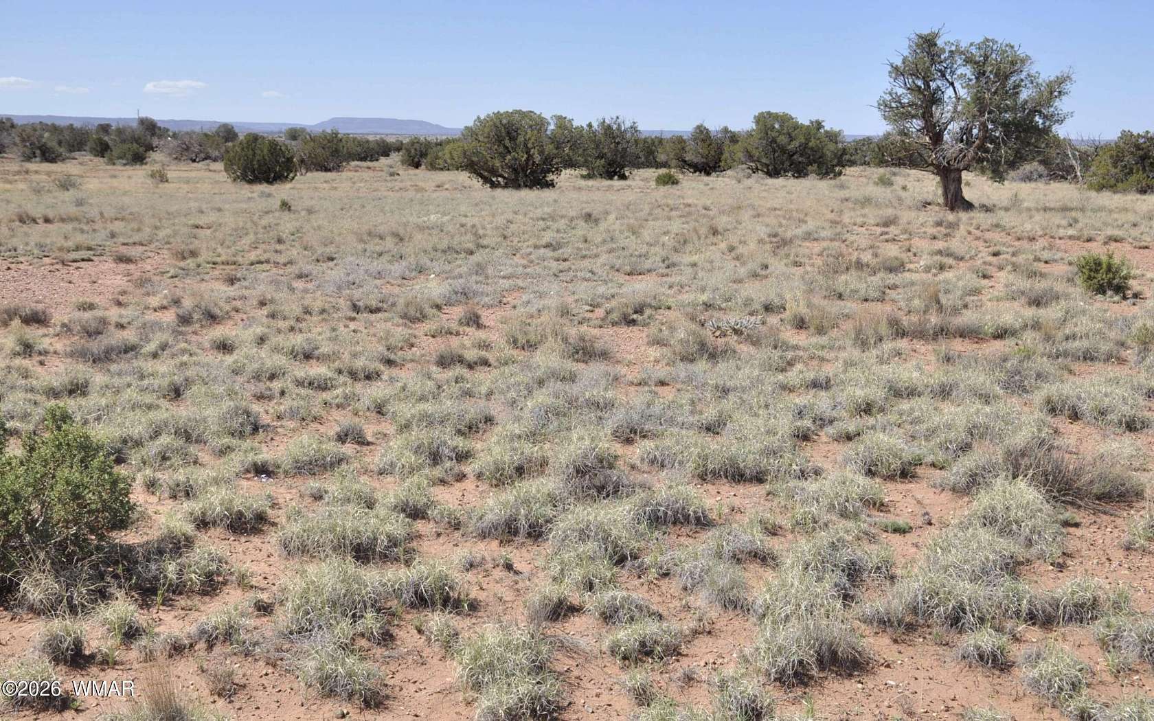 20.5 Acres of Agricultural & Residential Land for Sale in Concho, Arizona