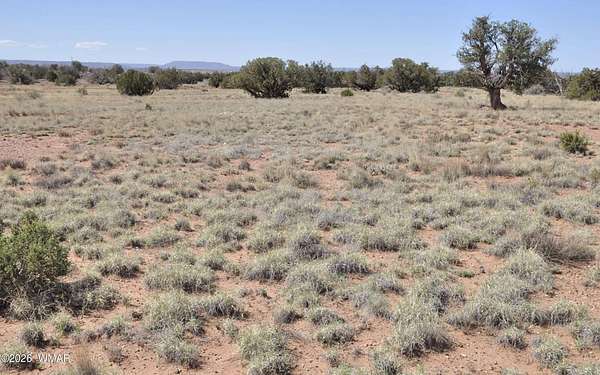 20.5 Acres of Agricultural & Residential Land for Sale in Concho, Arizona
