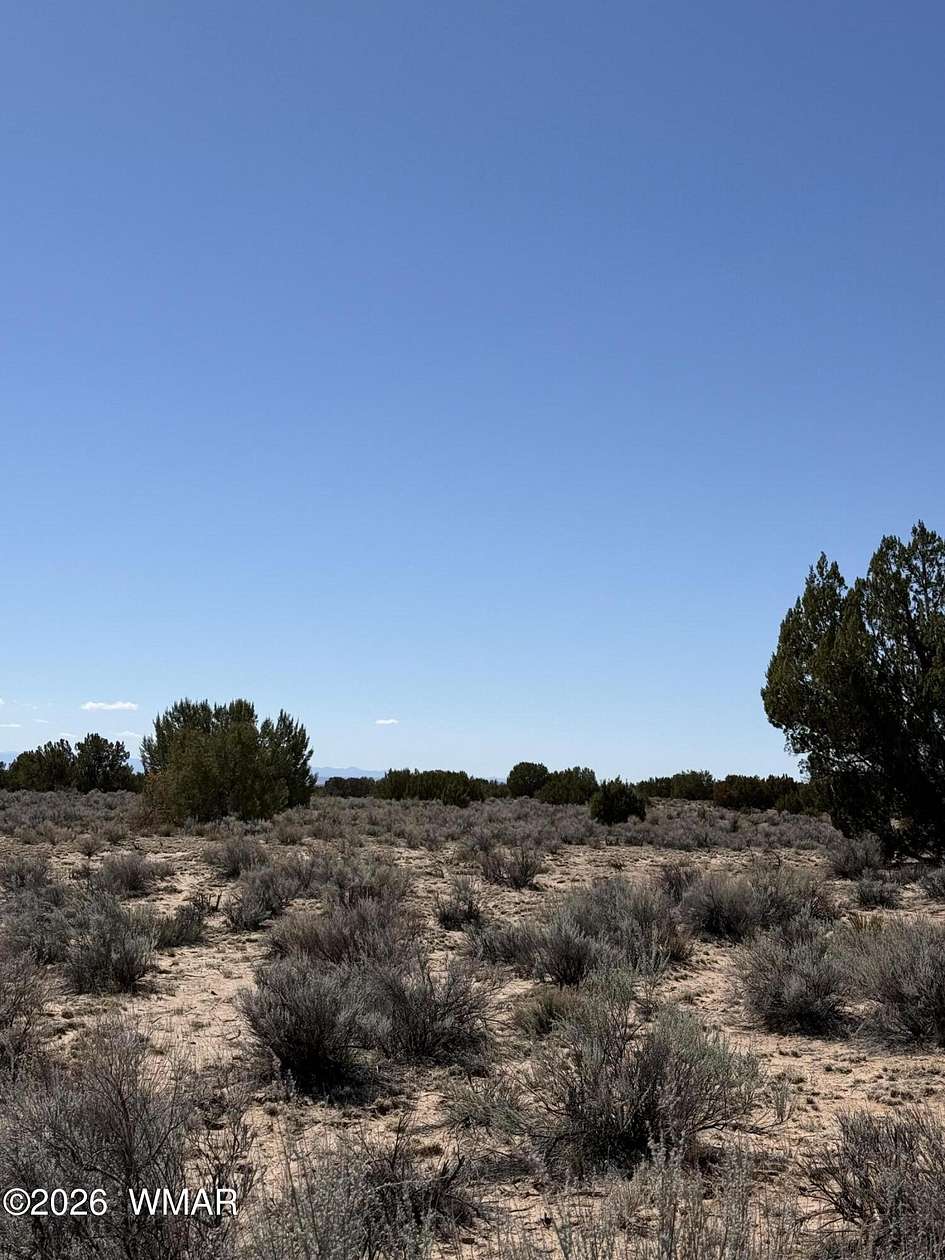 40 Acres of Recreational & Residential Land for Sale in Chambers, Arizona