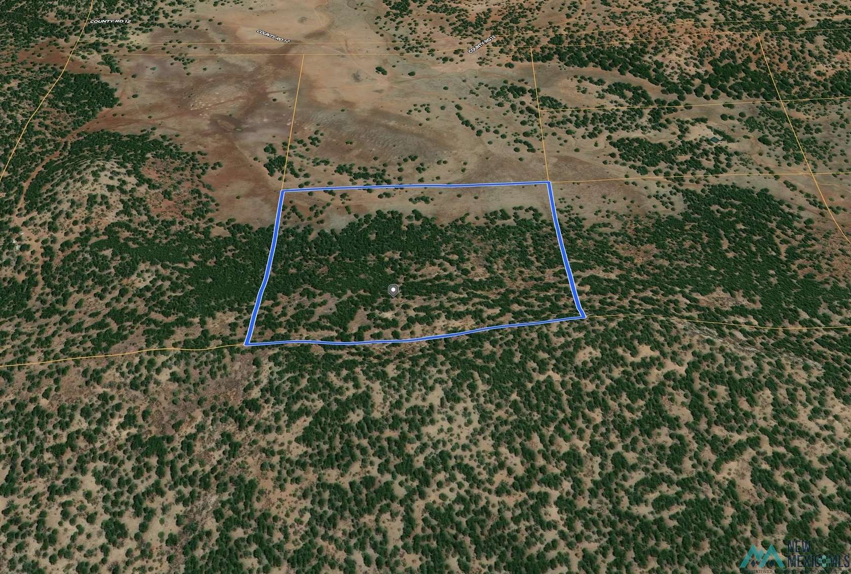 40 Acres of Recreational Land for Sale in Bluewater, New Mexico