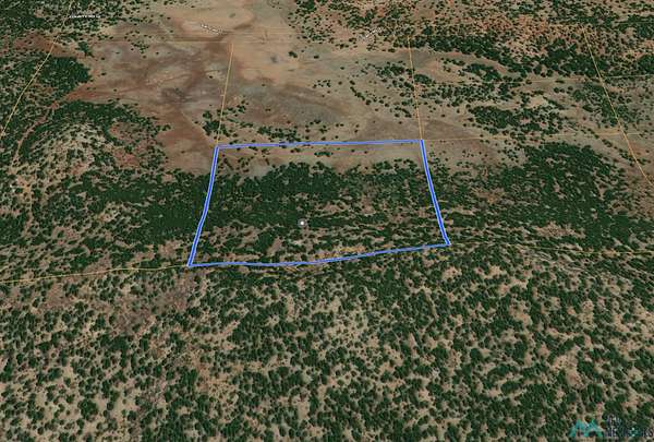 40 Acres of Recreational Land for Sale in Bluewater, New Mexico