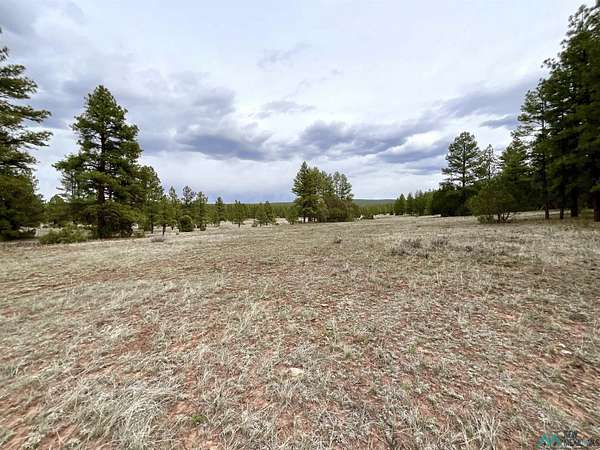 40 Acres of Recreational Land for Sale in Bluewater, New Mexico