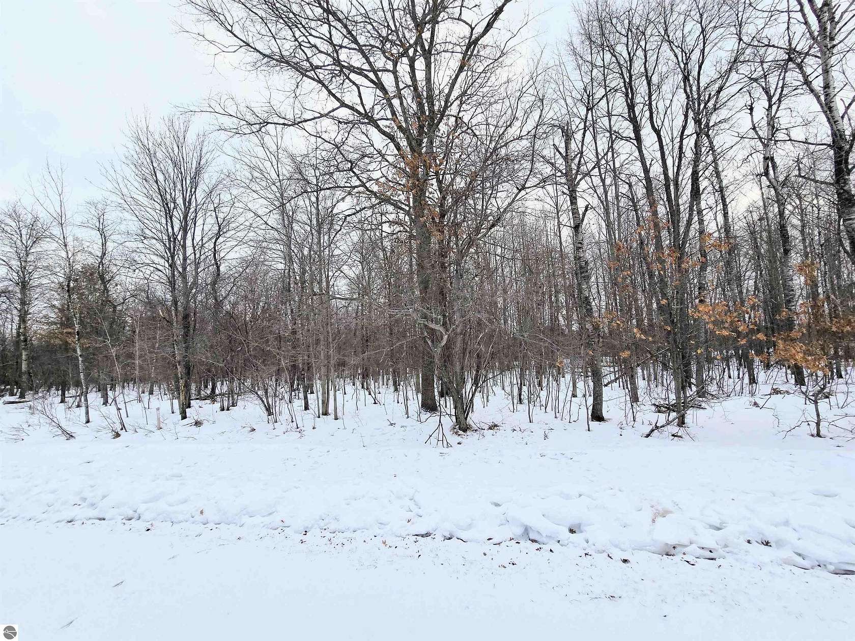 0.69 Acres of Residential Land for Sale in Grayling, Michigan