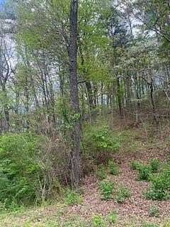 1.6 Acres of Residential Land for Sale in Chattanooga, Tennessee