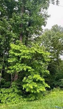 0.28 Acres of Land for Sale in Ruther Glen, Virginia