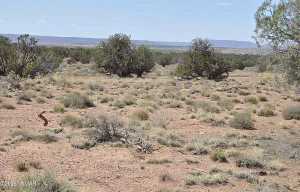 20.5 Acres of Agricultural & Residential Land for Sale in Concho, Arizona