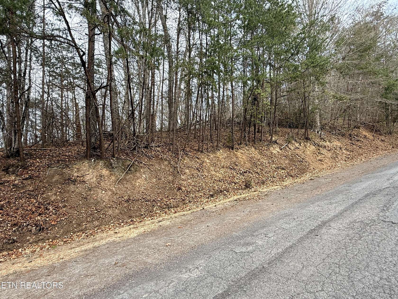 1 Acre of Residential Land for Sale in Sharps Chapel, Tennessee