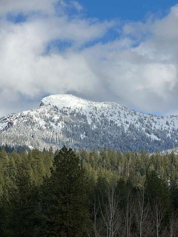 1.35 Acres of Land for Sale in McCall, Idaho