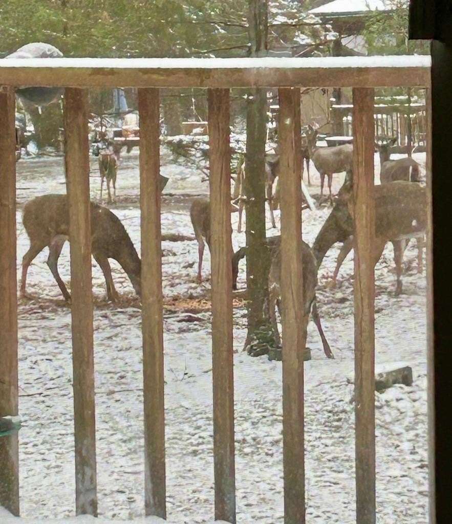 1 Acre of Land with Home for Sale in Crown, Pennsylvania