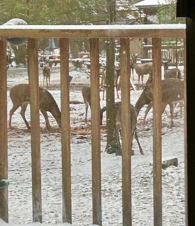 1 Acre of Land with Home for Sale in Crown, Pennsylvania