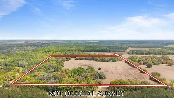 43.4 Acres of Recreational & Residential Land for Sale in Mayo, Florida