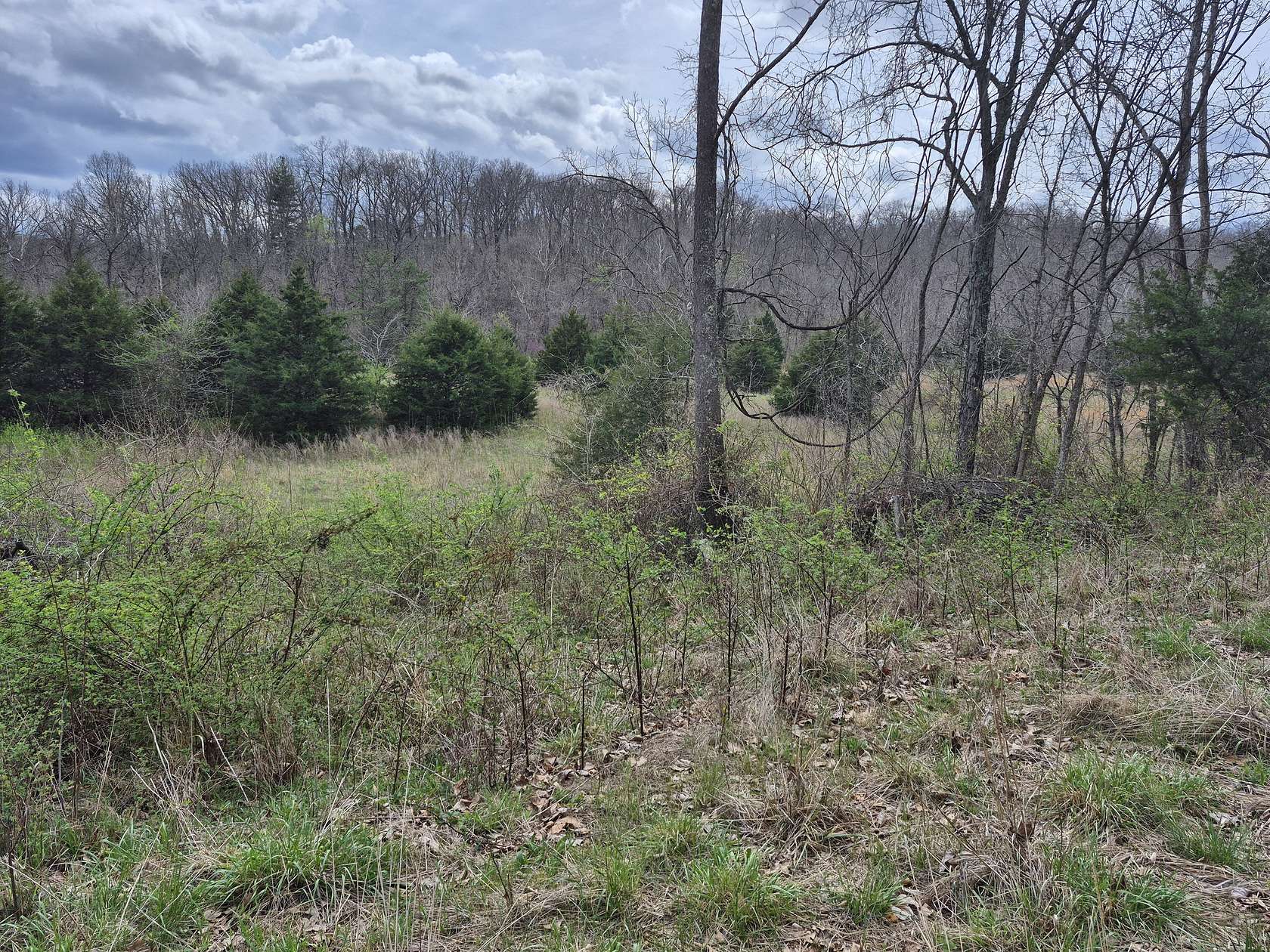 17.7 Acres of Land for Sale in Stover, Missouri