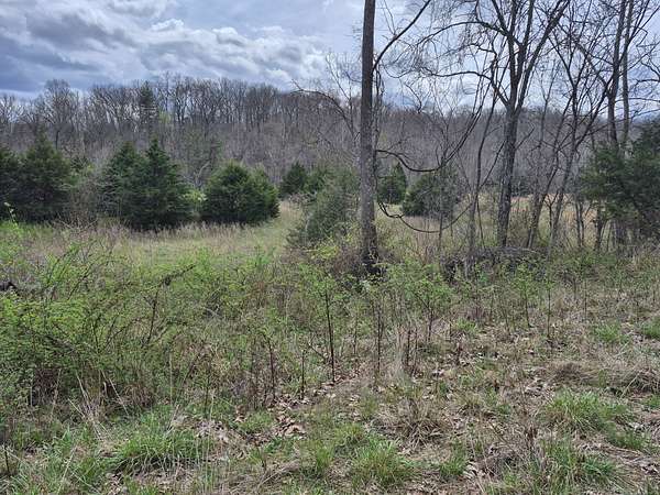 17.7 Acres of Land for Sale in Stover, Missouri