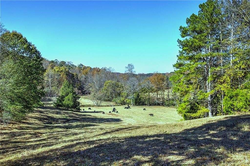 27 Acres of Improved Land for Sale in Ranger, Georgia