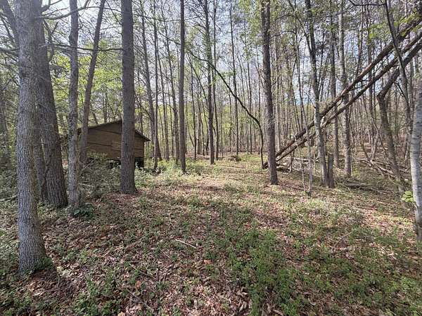 4.9 Acres of Residential Land for Sale in Evensville, Tennessee