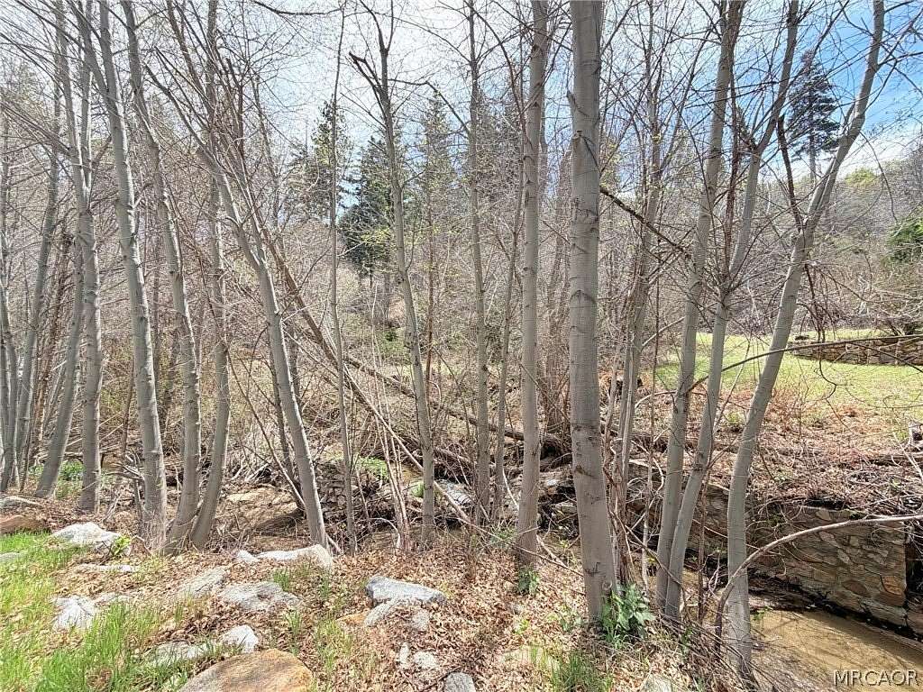 0.2 Acres of Residential Land for Sale in Cedar Glen, California