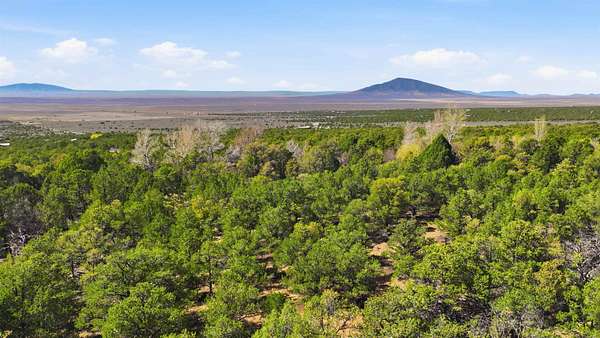 4.1 Acres of Residential Land for Sale in Questa, New Mexico