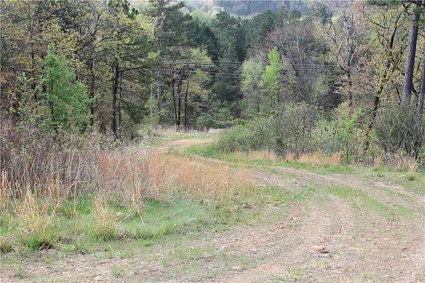 40 Acres of Recreational & Residential Land for Sale in Magazine, Arkansas