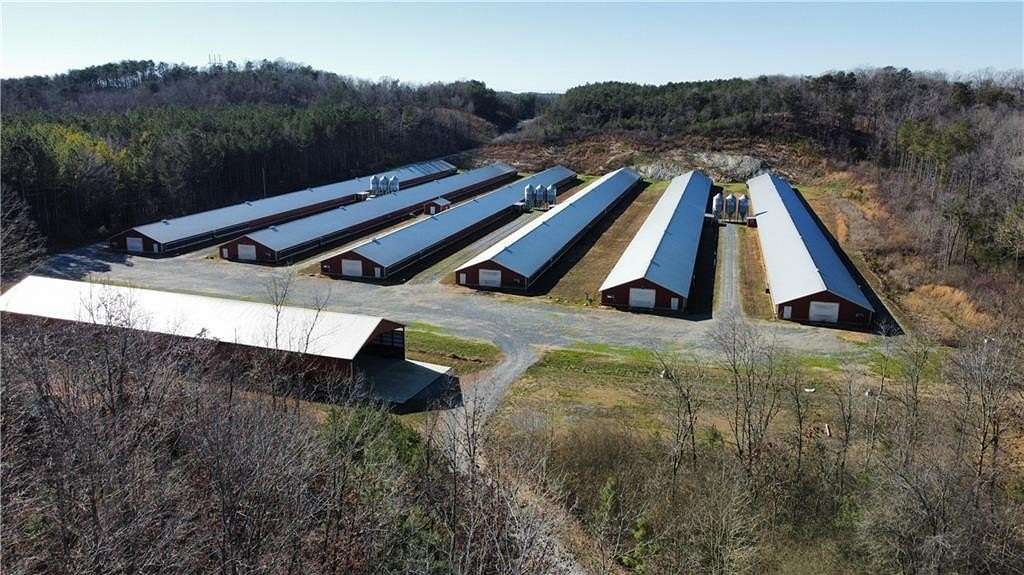 46.5 Acres of Agricultural Land for Sale in Ranger, Georgia