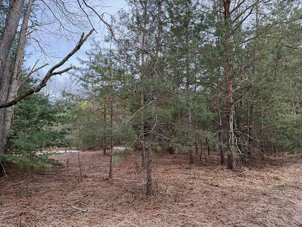 39 Acres of Recreational & Residential Land for Sale in Kaleva, Michigan