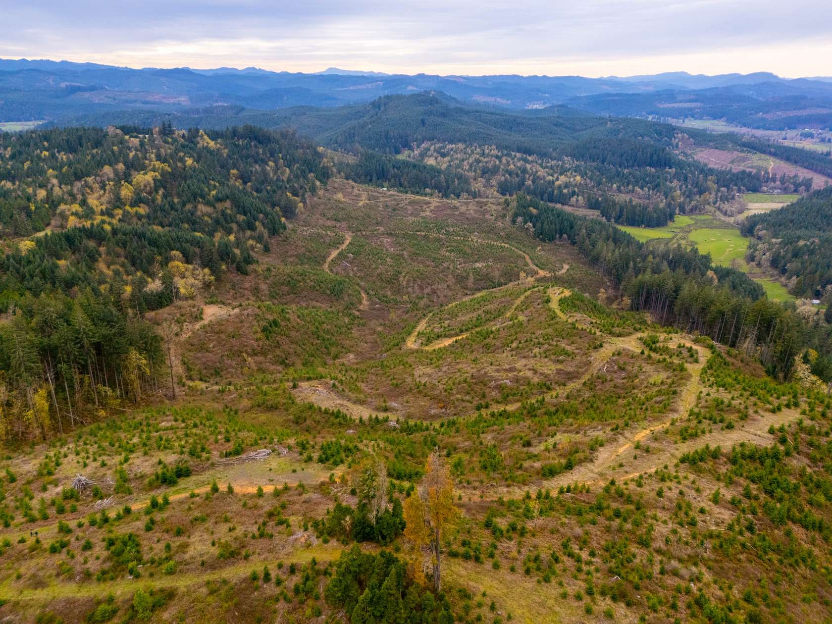 80 Acres of Recreational Land for Sale in Crow, Oregon