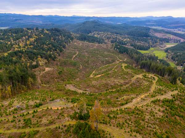 80 Acres of Recreational Land for Sale in Crow, Oregon