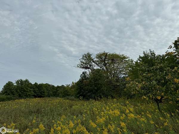 20 Acres of Recreational Land for Sale in Moulton, Iowa