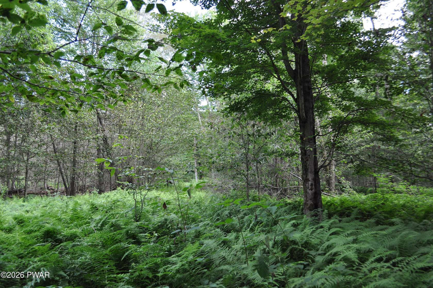 32 Acres of Land for Sale in Honesdale, Pennsylvania