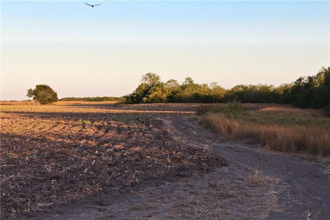 160 Acres of Recreational Land for Sale in Robstown, Texas