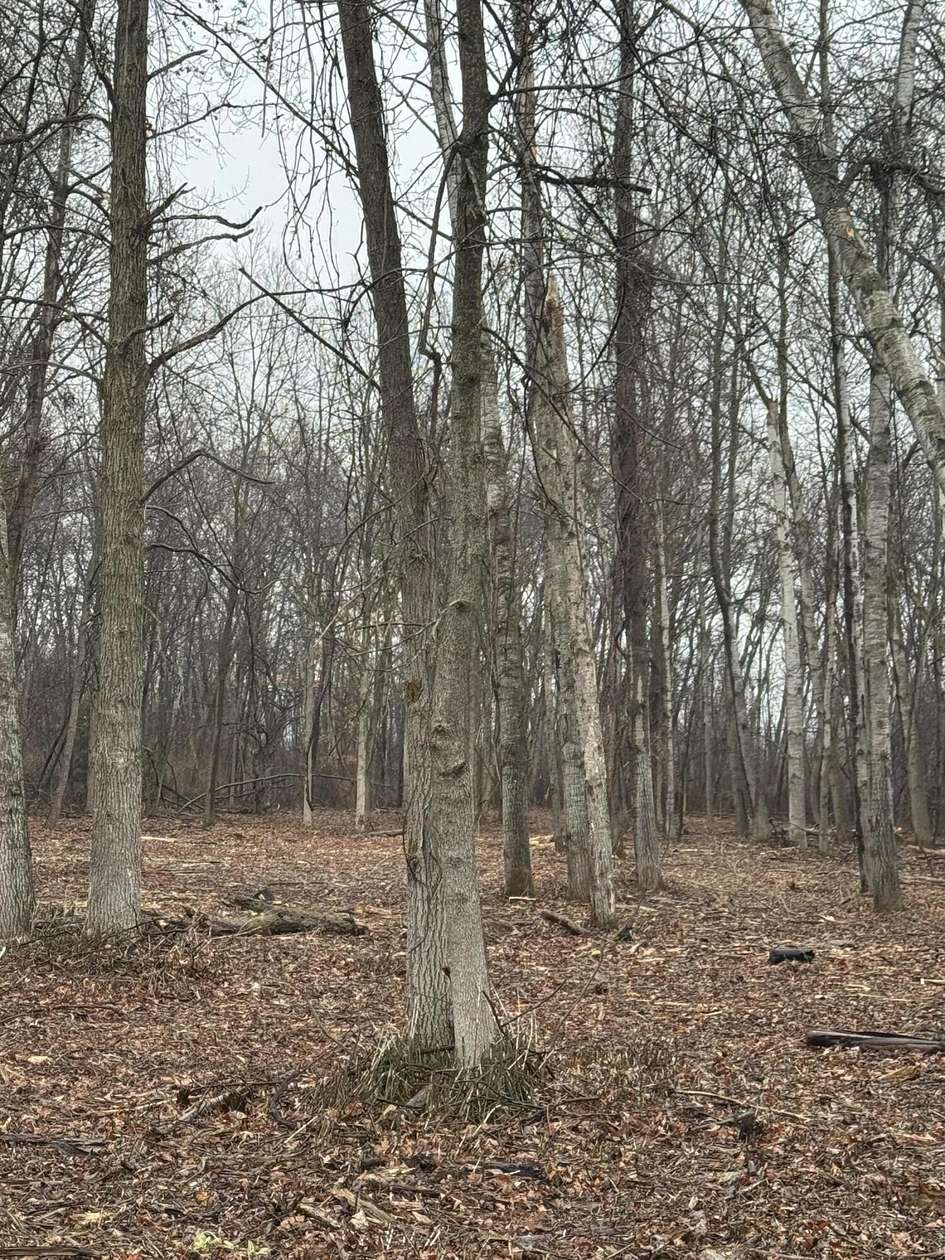 1.89 Acres of Residential Land for Sale in Au Gres, Michigan