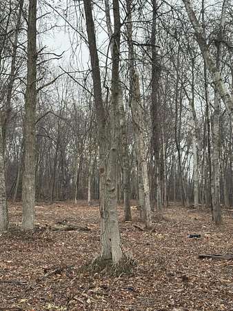 1.89 Acres of Residential Land for Sale in Au Gres, Michigan